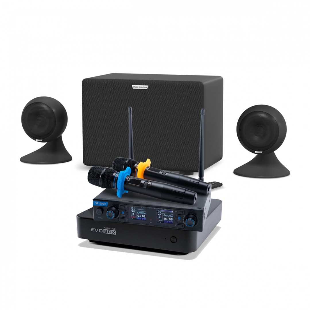 караоке-комплект EVOBOX + EvoSound Sphere 2.1 в Ростове