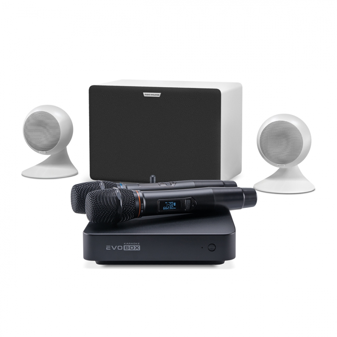 караоке-комплект EVOBOX Classic + EvoSound Sphere 2.1 в Ростове
