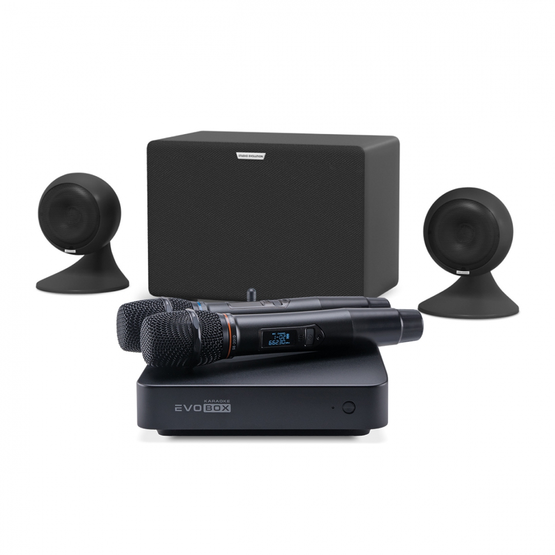 караоке-комплект EVOBOX Plus + EvoSound Sphere 2.1 в Ростове