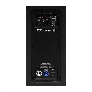 Активная акустическая система AST-310A в Ростове