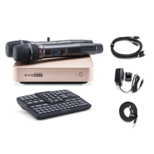 EVOBOX Classic караоке-система для дома в Ростове