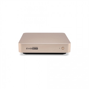 EVOBOX с микрофонами в Ростове
